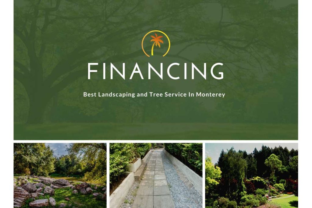 financing pacific landscaping tree services