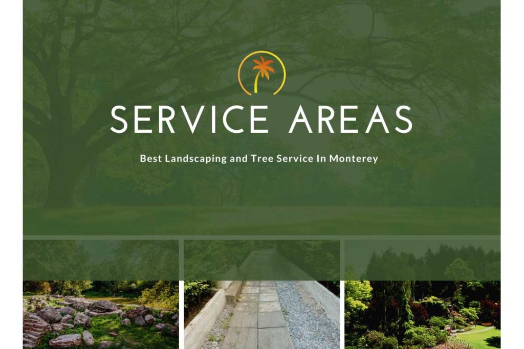 service areas pacific landscaping tree services