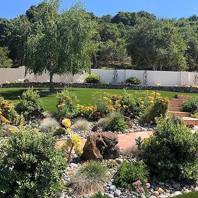 1 Tree Service Landscaping Company, Central Coast Landscape And Maintenance Inc