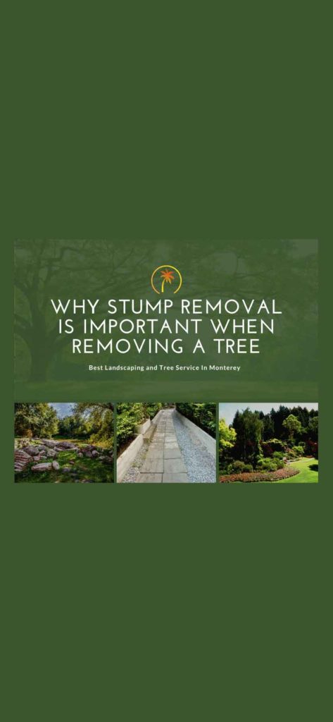 removing tree stump removal important california