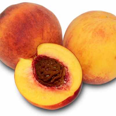 nectarine peach fruit tree california