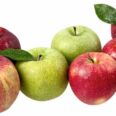 types of apple fruit trees california