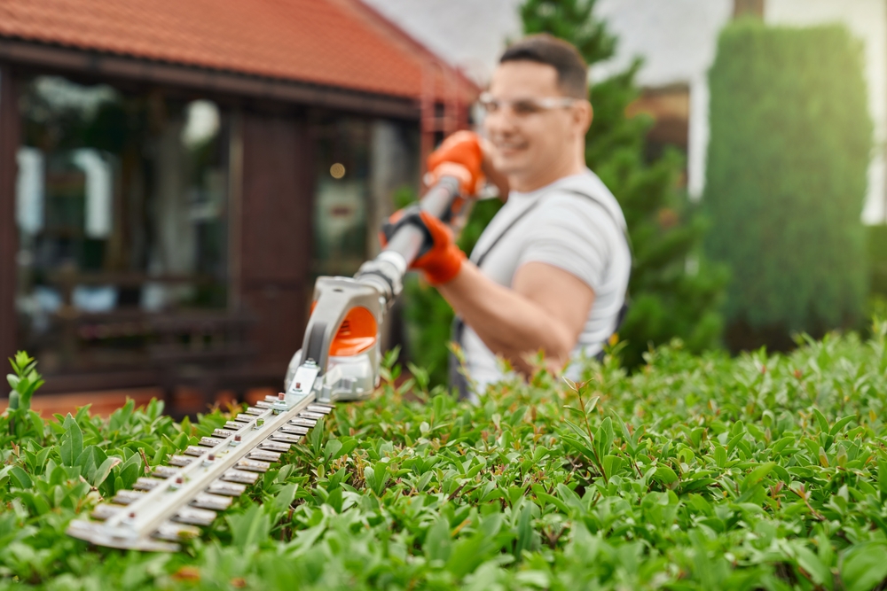 Hiring a California Landscaper You Can Trust 1