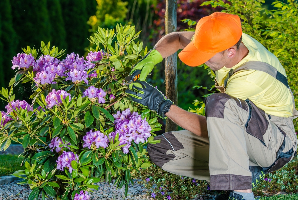 How Much Is Landscaping Service 1