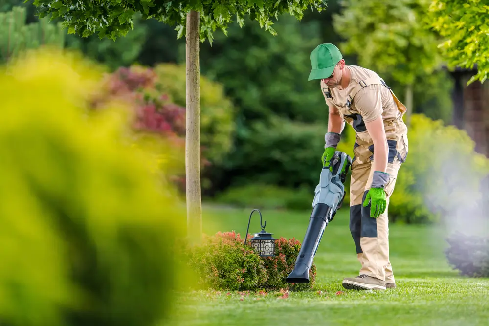 gardener-cleaning-lawn