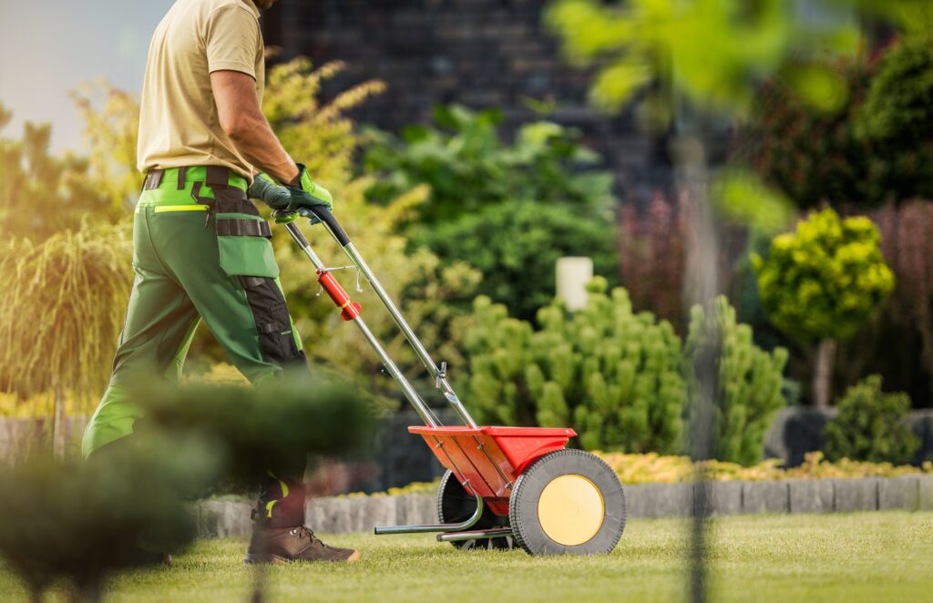 gardener giving lawn maintenance