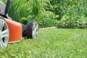 lawn-mower-on-garden
