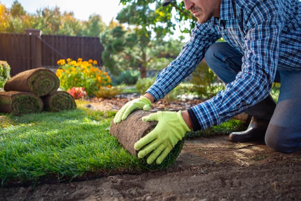 landscape-gardener