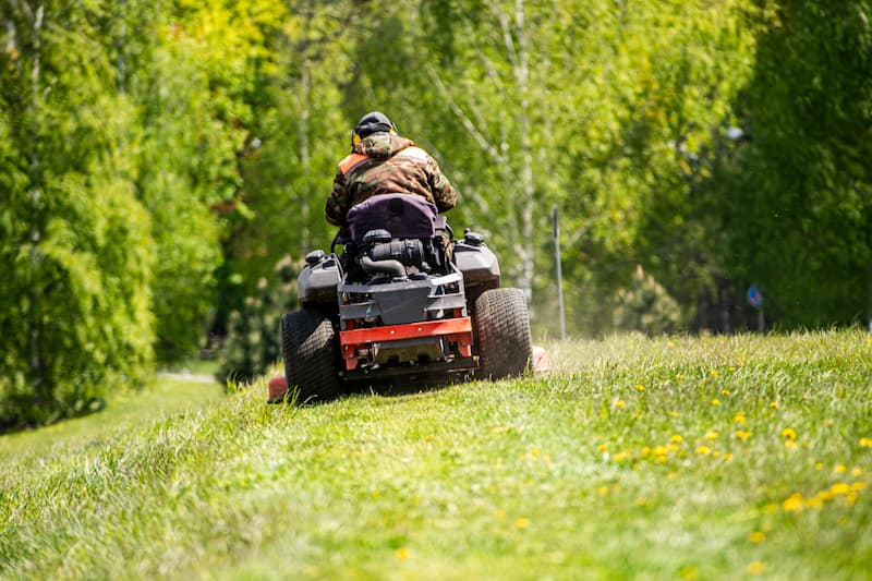 landscaping